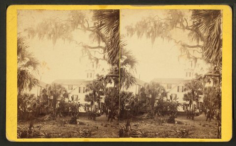 Tropical House, Rockledge