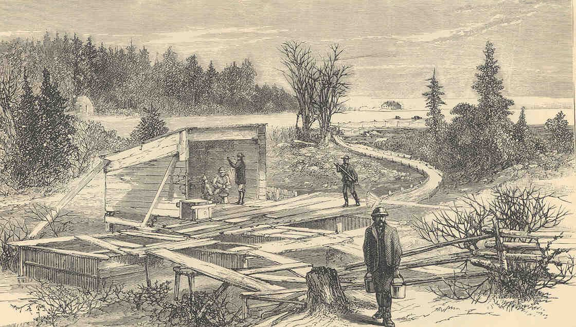 FMIB 34534 View of Salmon-Pens and Spawning-Shed