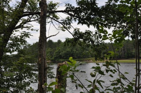 LeedsME BigRamIsland