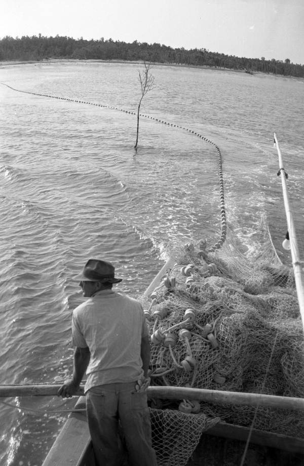 Fisherman laying out seine net