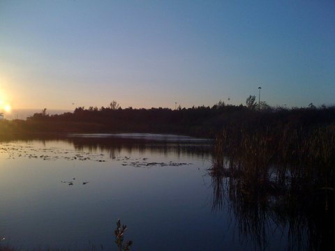 Sunrise, FL, USA
