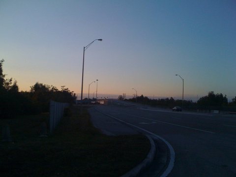 Pat Salerno Drive in Sunrise, Florida - panoramio (2420)