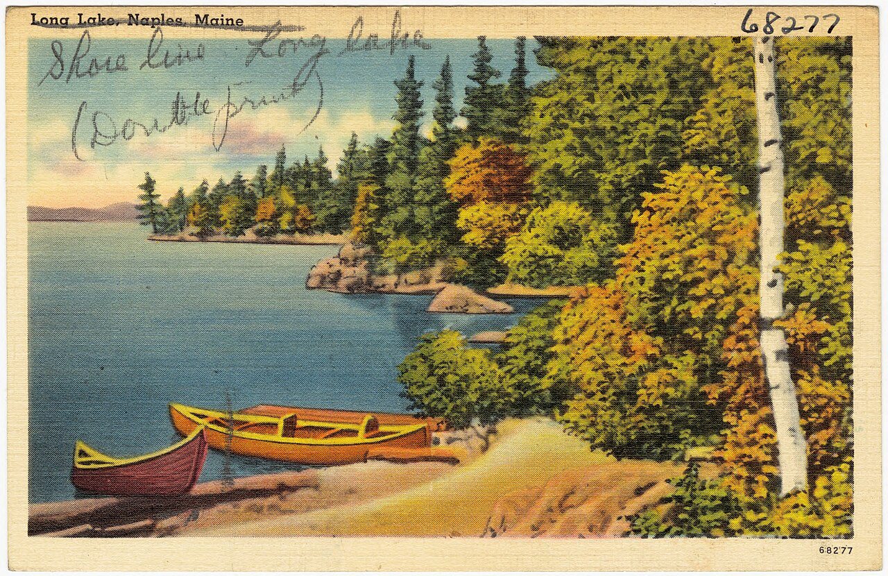 Shore line, Long Lake (68277)