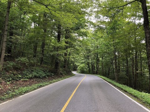 2018-09-09 15 48 37 View south along Rockwell Road just south of Greylock Road within the Mount Greylock State Reservat…