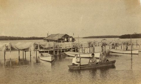 Koreshan men rowing past docks near
