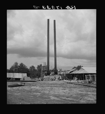 Turpentine plant near Marianna, Florida