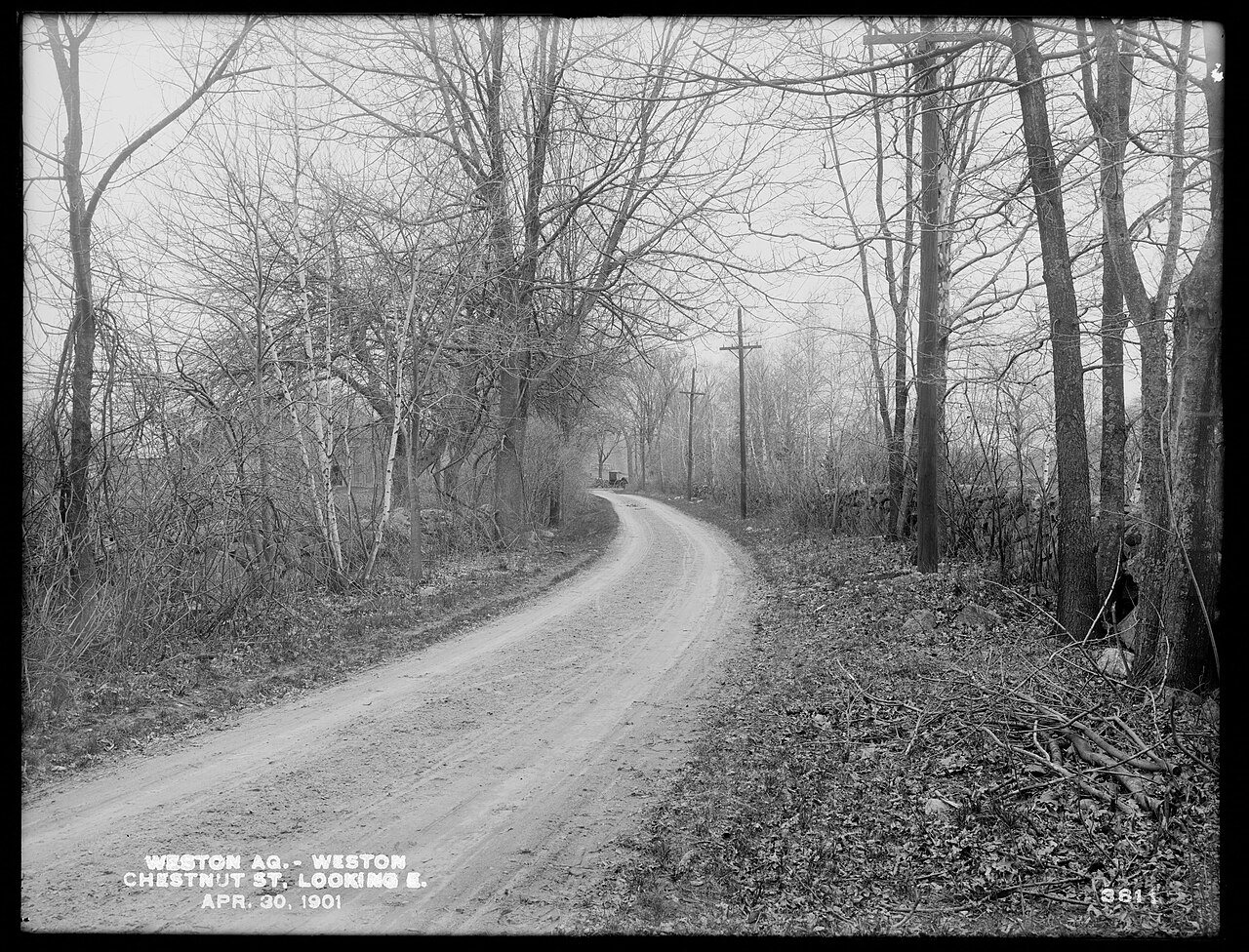 Weston Aqueduct, Chestnut Street, looking easterly, Weston, Mass., Apr. 30, 1901 - DPLA - 5a04a184c468d1640dfbfa8a3a286…