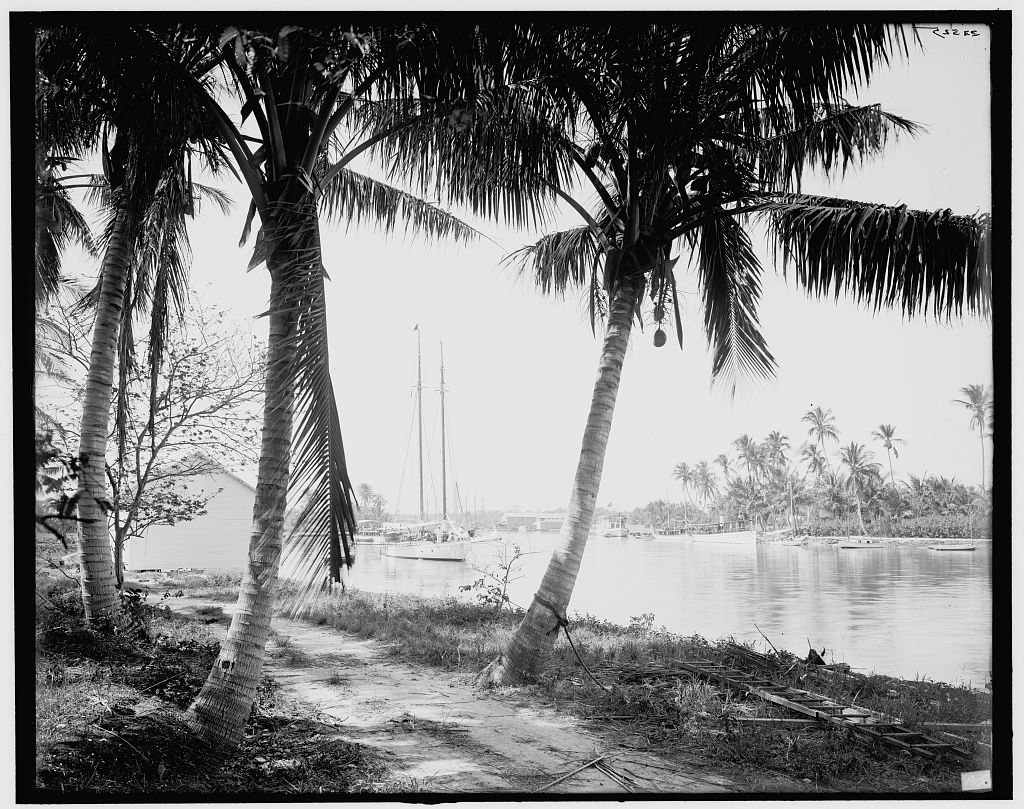 On the Miami River