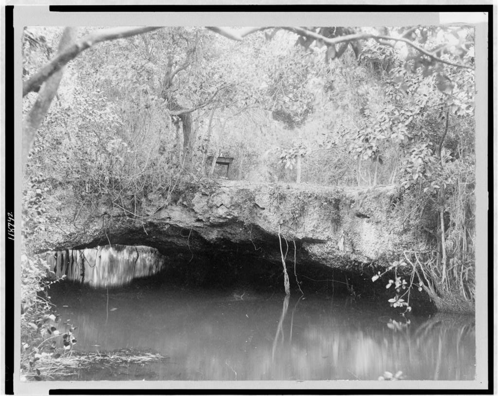 Florida--Miami--Arch Creek