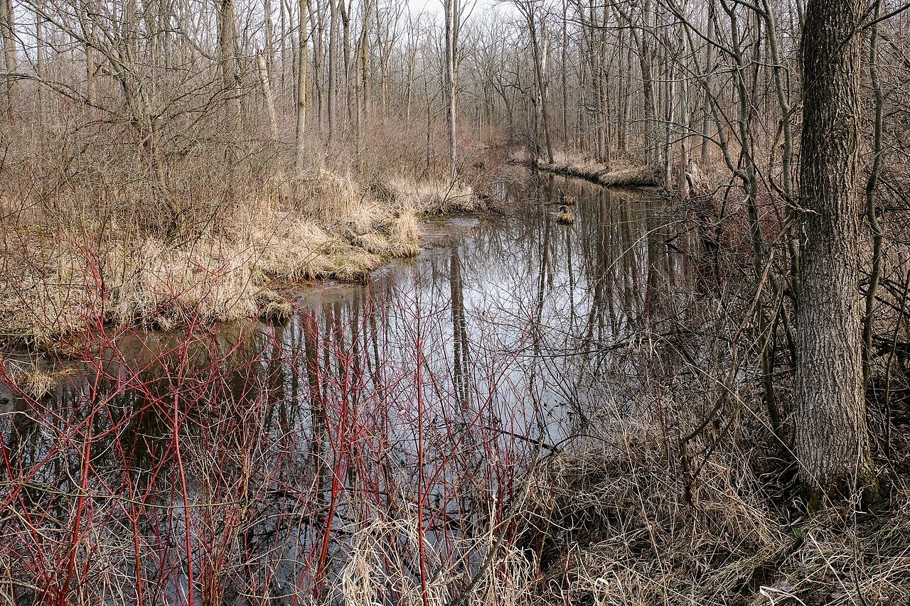 Little Maple River, Sleepy Hollow State Park, 2020-03-27-2422