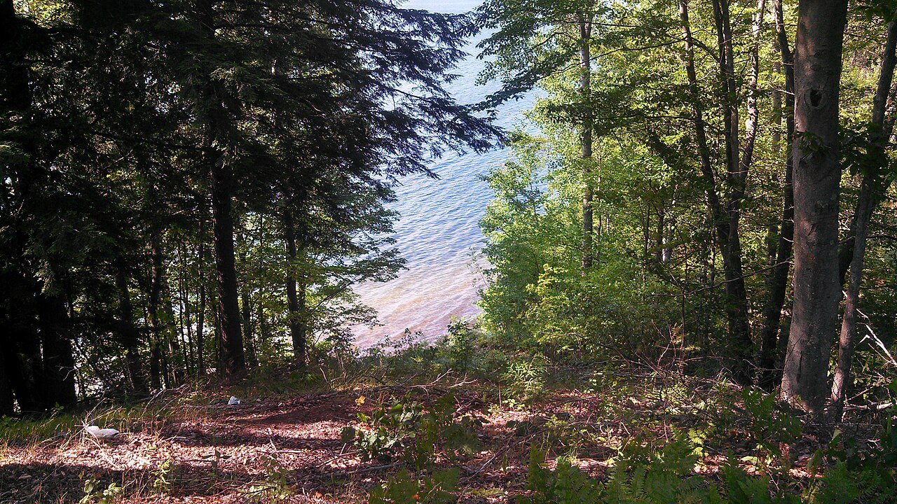 Springville Township, MI 49668, USA - panoramio (1)