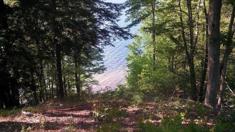 Springville Township, MI 49668, USA - panoramio (1)