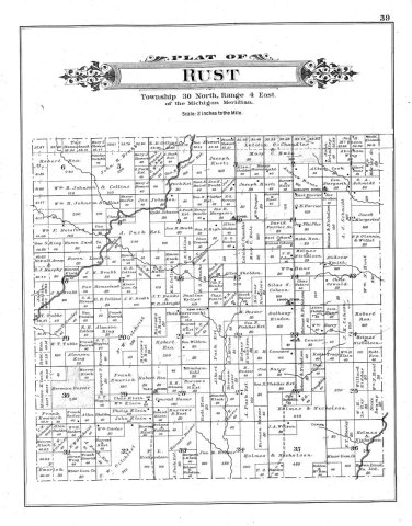Plat map of Rust Township, Michigan (1903)