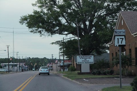AL17 North Sign - Vernon 2