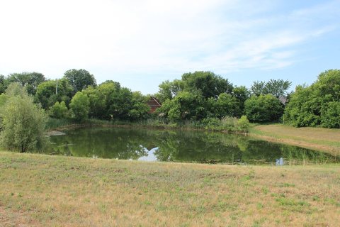 Centennial Village Pond Green Oak Township Michigan