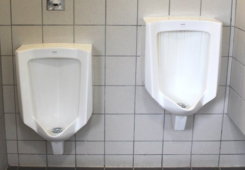 Kohler urinals Island Lake Recreational Area Green Oak Township Michigan