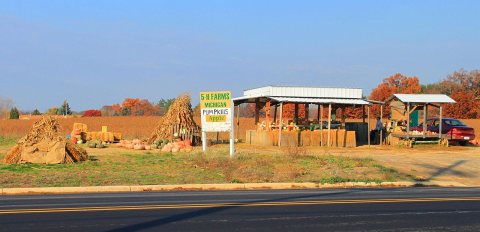 5-H Farms Produce Stand, Green Oak Township (South Lyon), Michigan