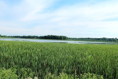 Lake Nichwagh, Green Oak Township, Michigan