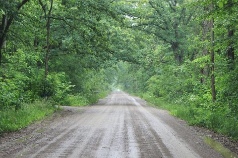 Not Eminem's Eight Mile Road Northfield and Green Oak Townships Michigan