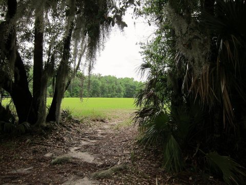 To the campsite from the Lake
