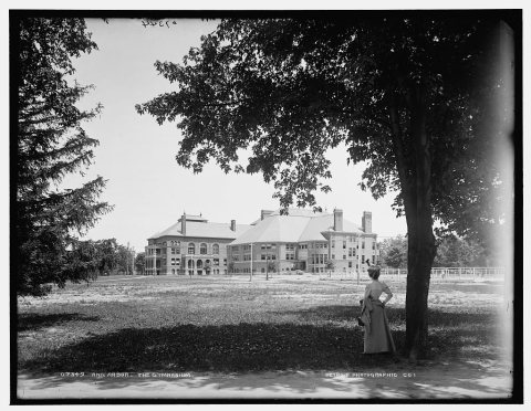Ann Arbor, the gymnasium