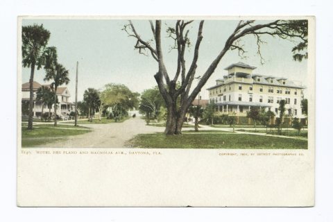 Magnolia Avenue and Hotel Des Plano, Daytona, Fla