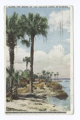Along the Shore of the Halifax, Daytona, Fla