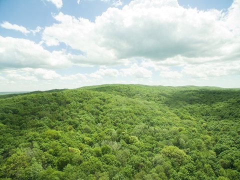 Briar HIll (Michigan)