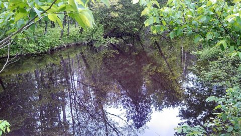 Meade Township, MI, USA - panoramio (1)