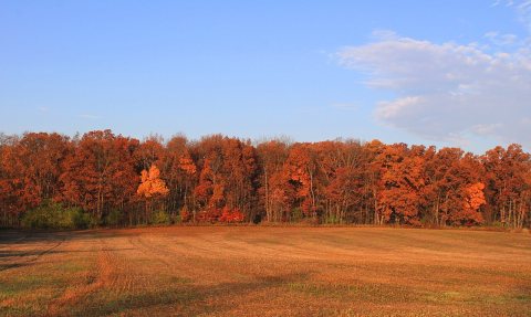 Bucolic Vista, Nollar Road, Northfield Township, Michigan