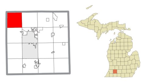 Alamo Township, MI location