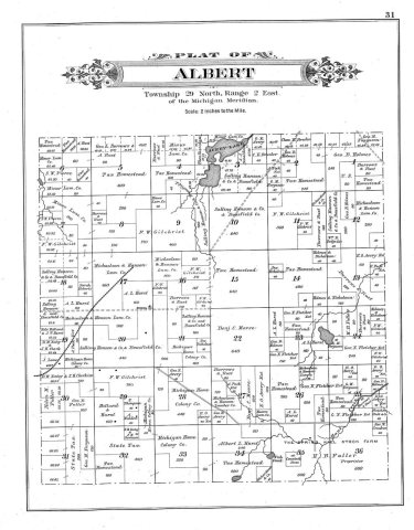 Plat map of Albert Township, Michigan (1903)