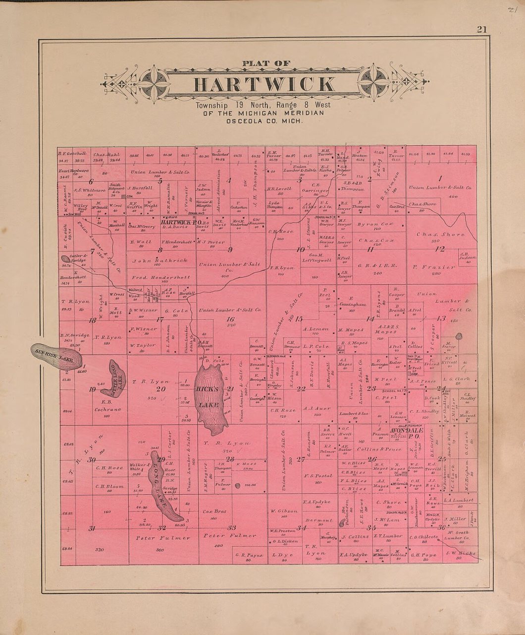 Plat book of Osceola County, Michigan