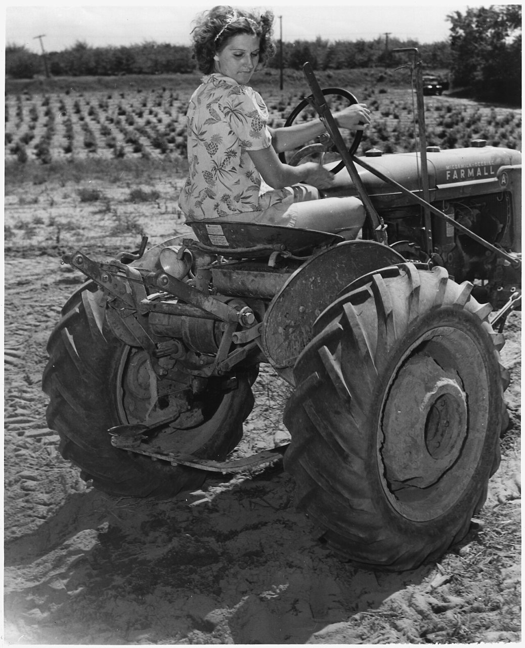 Mrs. William Wood manages a one hundred and twenty acre farm in Coloma, Michigan, with little male assitance