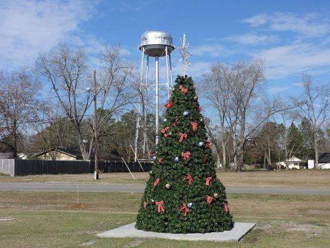 Christmas tree and water tower
