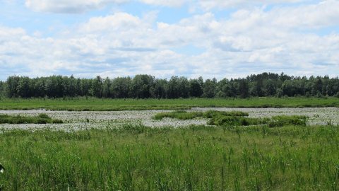 Denton Creek (Roscommon County, Michigan)