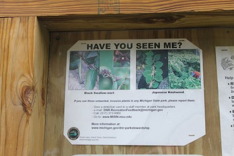 Black swallow-wort advisory sign Allen Lake Cambridge Township Michigan