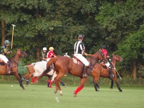 Polo umpire