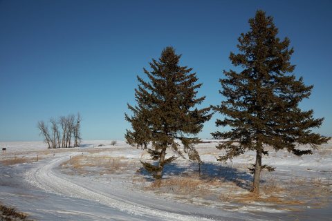Winter scene between legendary southern Minnesota snowstorms, near Windom