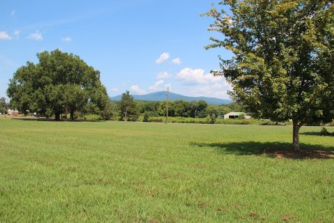 Park - panoramio (155)