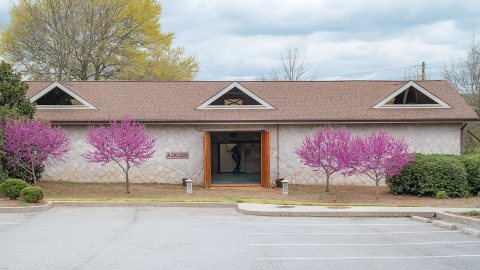 Aikido Center of Atlanta with redbud trees in bloom