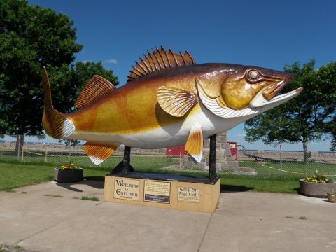 Newly Refurbished Garrison Walleye