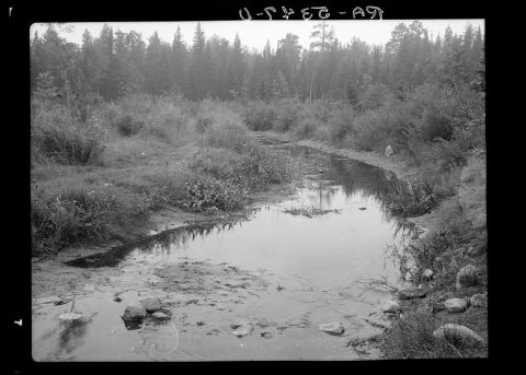 Untitled photo, possibly related to: Source of the Mississippi River. Lake Itasca, Minnesota
