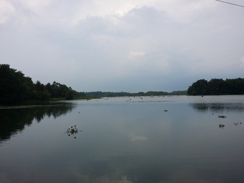 Lake Decatur on Spring Creek - panoramio (3)