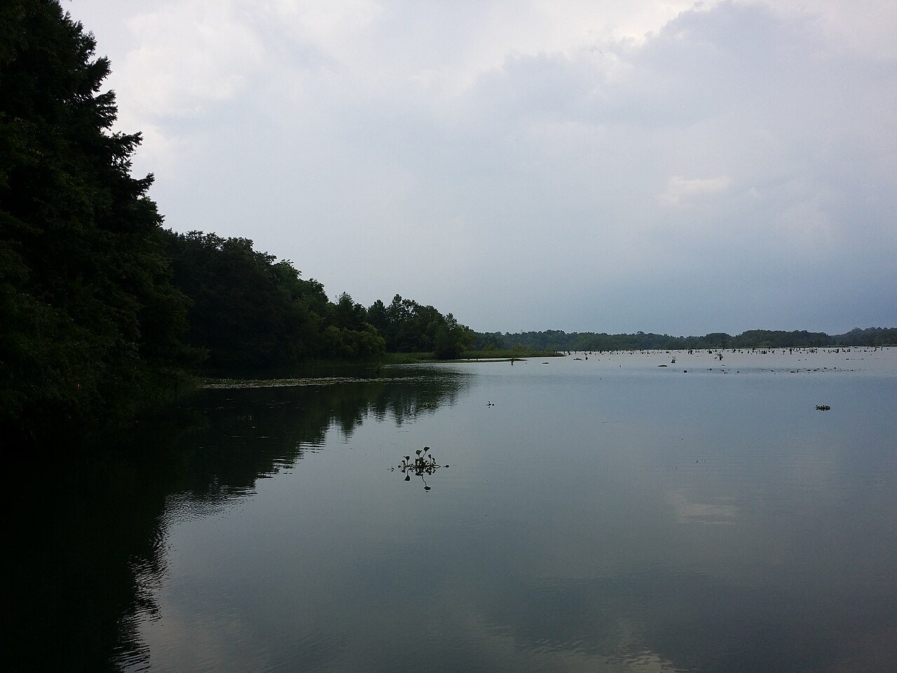 Lake Decatur on Spring Creek - panoramio (1)