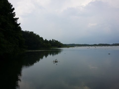 Lake Decatur on Spring Creek - panoramio (1)