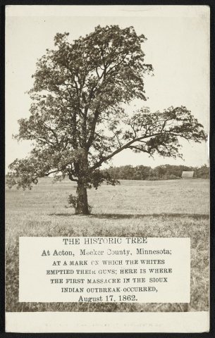 The historic tree