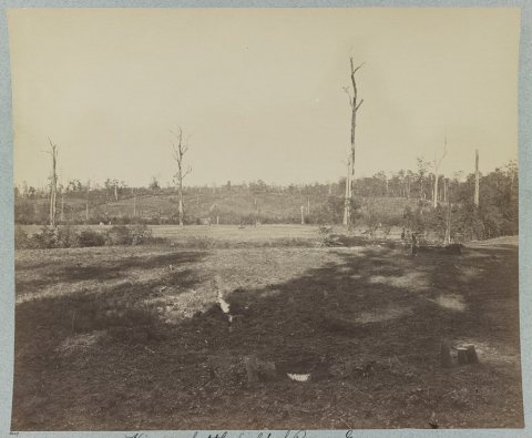 View on battle-field of Resaca, Ga