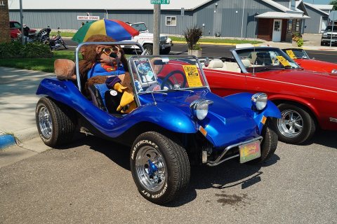 1965 Volkswagen EMPI Dune Buggy