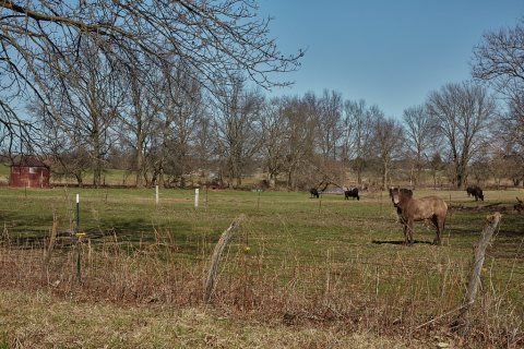 Scene on an Amish farm in rural Missouri's "Amish County," near the town of Clark